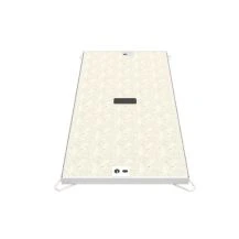 725mm x 255mm B125 Concrete Infill Access Cover 