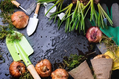 Compost for specific plants and soil types