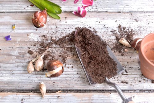 What is compost?