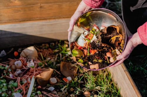 What is peat-free compost?